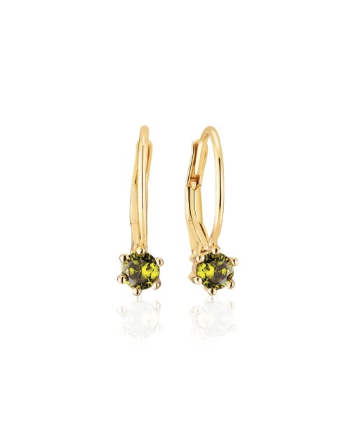 Rimini Earrings SJ-E22110-PD-SG